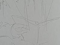 World Drawing day 2. June 6 2009