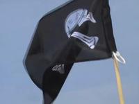 embassy of piracy feat. SALE