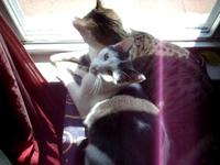Ramona & Otis