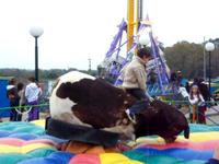 Mauri jineteando el toro mecánico