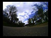 saturday morning walk