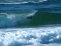 Dylon Parr short clip.