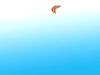 Fish_Swim2