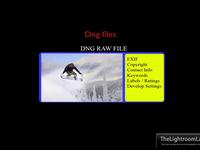 Converting digital camera raw files to DNG using Lightroom Converting digital camera raw files to DNG using Lightroom
