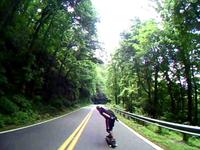 The Jungle 02