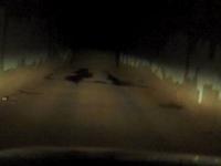 The "Blair Witch Night Roxbury Project" #FordDrive