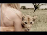 Wildaid - Cubs