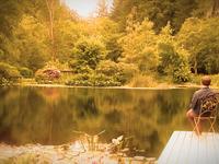 Freshwater Pond