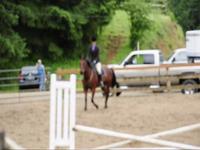 Hunter show 09