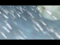 Senior Project / Momentum: Hope