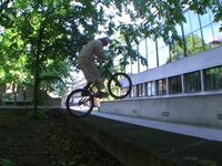 Badger - London Sess Trials