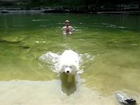 Swimming Dulette