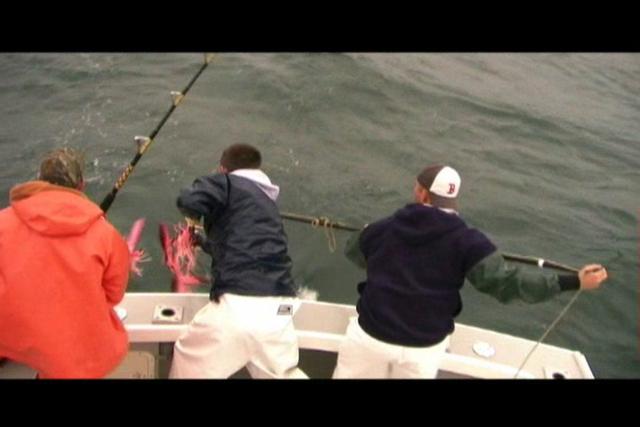 MBG Early Season Tuna Fishing