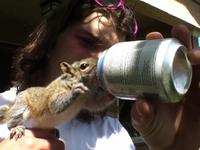 Andy and his best friend Mearl the Squirrel