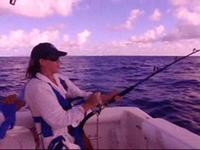 Marlin Fishing - Antigua and Barbuda Sports Fishing Tournament
