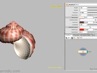 Procedural Shell Demo