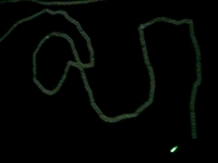 LASERTAG X PROCESSING 02