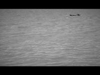 El barco
