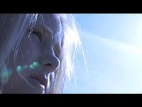 DP/CamOp/Editor Reel