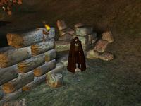 The Shield Quest - Intro 1