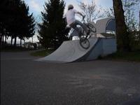 dex koeleman
