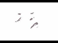 Tokion Creativity Now animation_faces