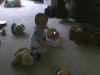 Cute-a-saurus Tyler