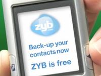 Zyb