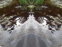 footprint
