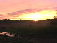 Spring Sunset