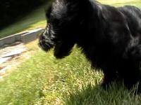 panasonic sdr h80 test