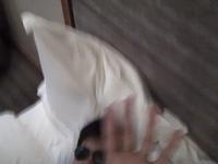 Hotel Room Monkey Business