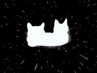 Cats_in_Space