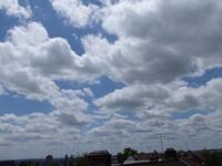 Under the clouds