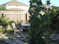 Our Central Texas Victory Garden 14 June 2009