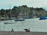 Bluebox Footage - Boats at Ammersee Bavaria/Germany (2) Bluebox Footage - Boats at Ammersee Bavaria/Germany (2)