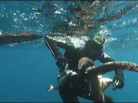 Championnat de France de chasse sous-marine 2000 (I)