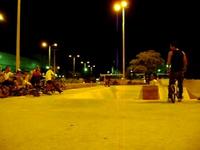 tailwhip