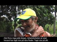 Videointervju Varför ockuperar ni mark tillhörande Veracel?”