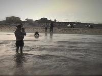 Coast