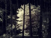 An Invisible Light
