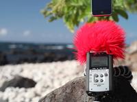 Zoom H4n Windscreen For Your Handheld Recorder with the Canon 5D Mark II and Joby Gorilla pod