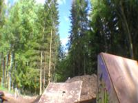 Tailwhip