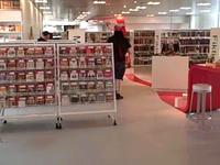 De Rode Draad in de Openbare Bibliotheek van Hjorring
