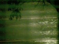The rain outside my window ☁