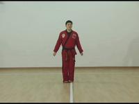 Black Belt Sample