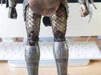 Hottoys 12inch Predator Collectibles