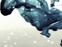 experimental fluids