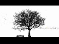 Never Lies-Hey0oxjon