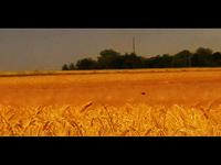 Desertion
